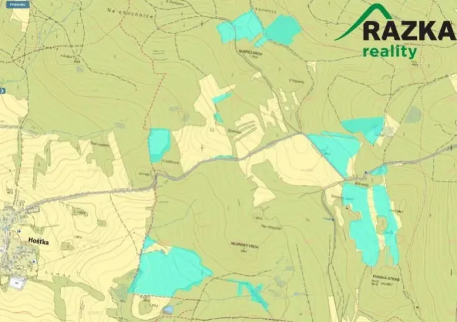 Prodej zemědělské půdy, Hošťka, 645446 m2