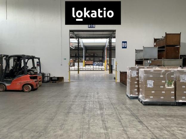 Pronájem skladu, Čelákovice, 10000 m2