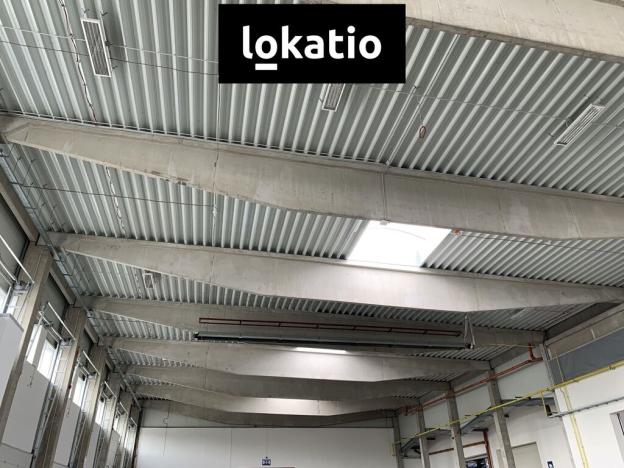 Pronájem skladu, Čelákovice, 10000 m2