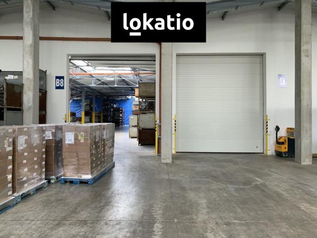 Pronájem skladu, Čelákovice, 10000 m2
