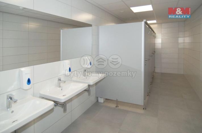 Pronájem kanceláře, Ostrava - Moravská Ostrava, Masarykovo náměstí, 110 m2