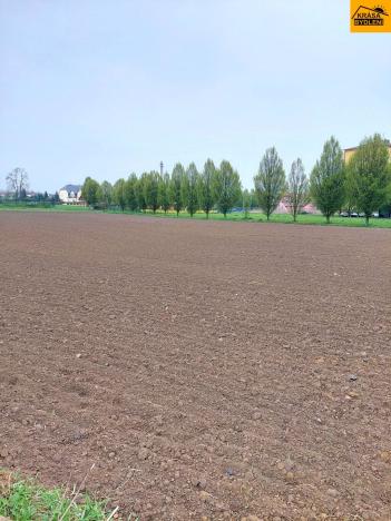 Prodej pozemku pro komerční výstavbu, Uničov, 2771 m2