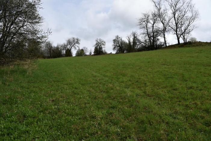 Prodej pozemku pro bydlení, Vyšší Brod, Lidická, 2155 m2