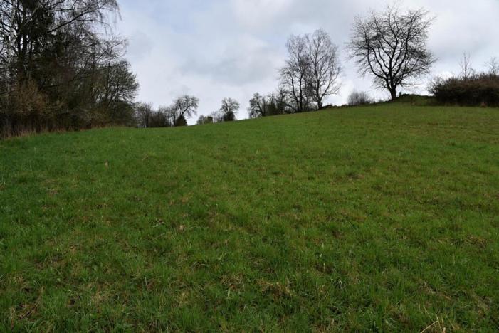 Prodej pozemku pro bydlení, Vyšší Brod, Lidická, 2155 m2