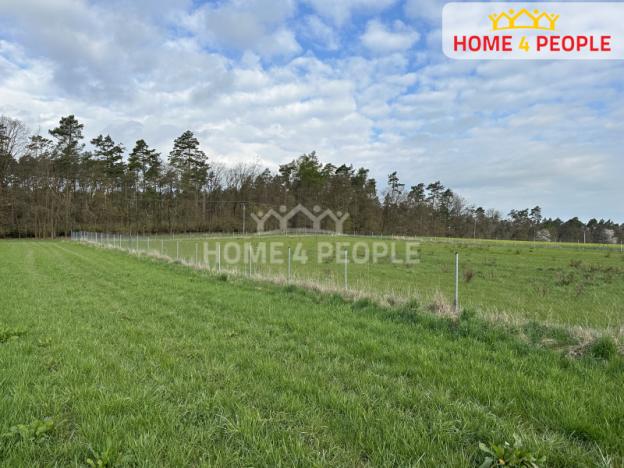 Prodej pozemku, Kozojedy, K Jevanům, 9374 m2