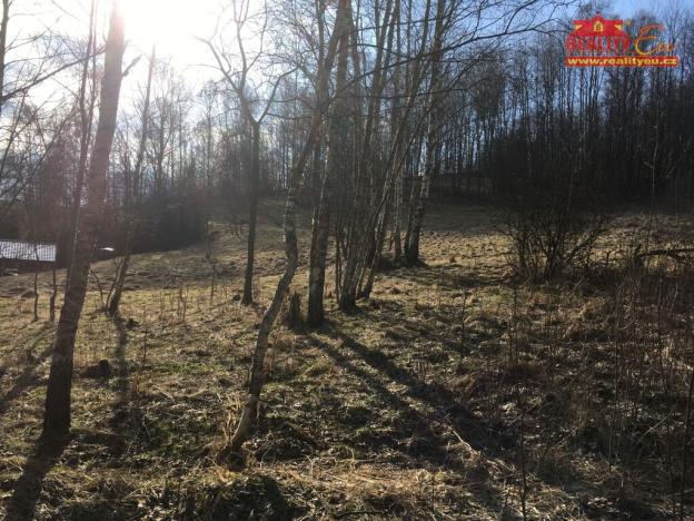 Prodej pozemku pro bydlení, Bernartice, 1400 m2