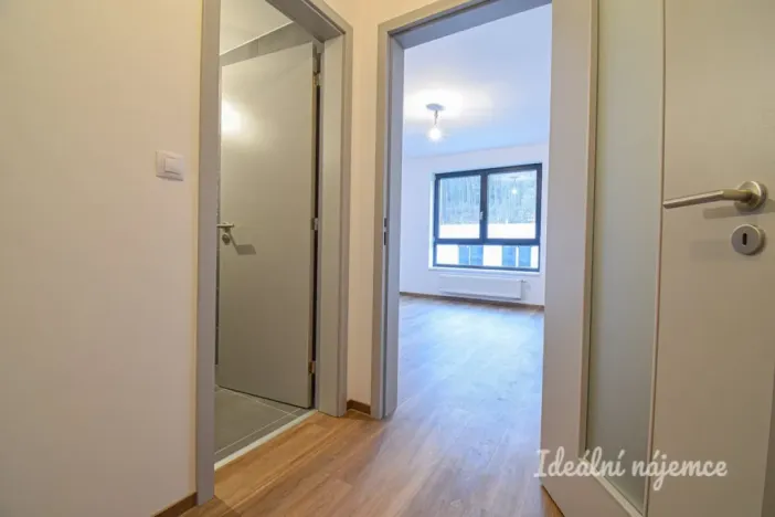 Pronájem bytu 1+kk, Kuřim, Pazourková, 29 m2