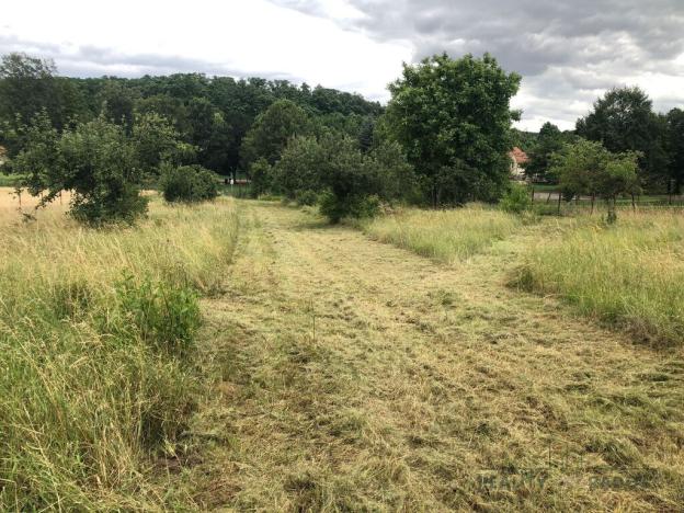 Prodej zemědělské usedlosti, Kleneč, Hlavní, 150 m2