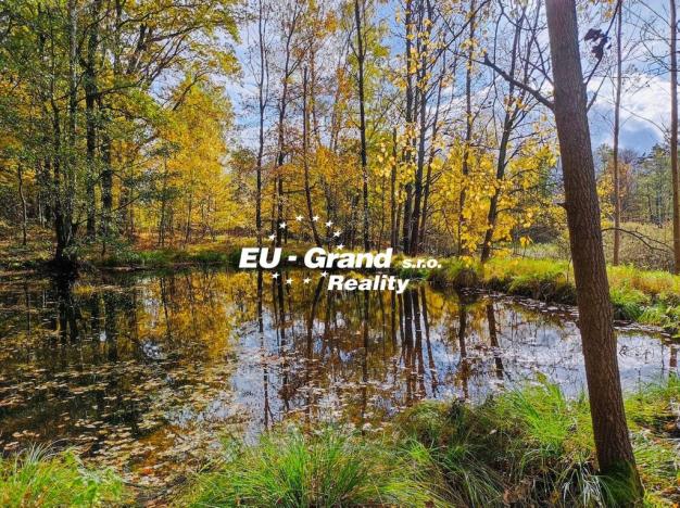 Prodej rybníku, Velký Šenov, 2339 m2