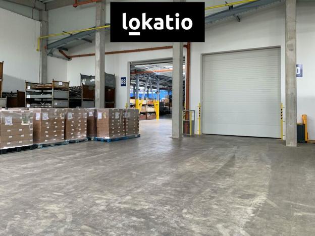 Pronájem skladu, Čelákovice, 4000 m2