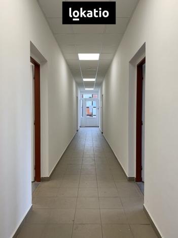 Pronájem skladu, Čelákovice, 4000 m2