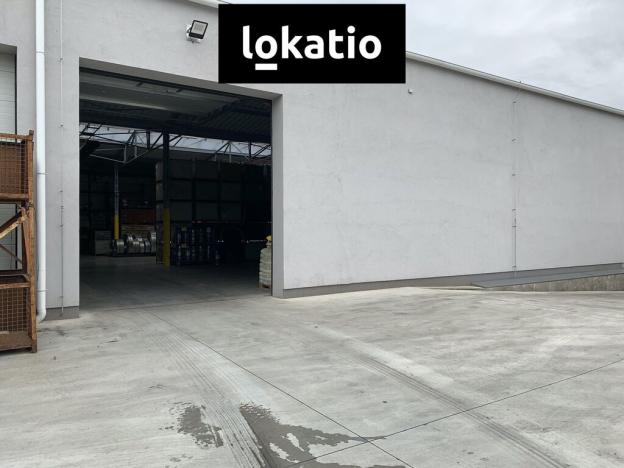 Pronájem skladu, Čelákovice, 4000 m2