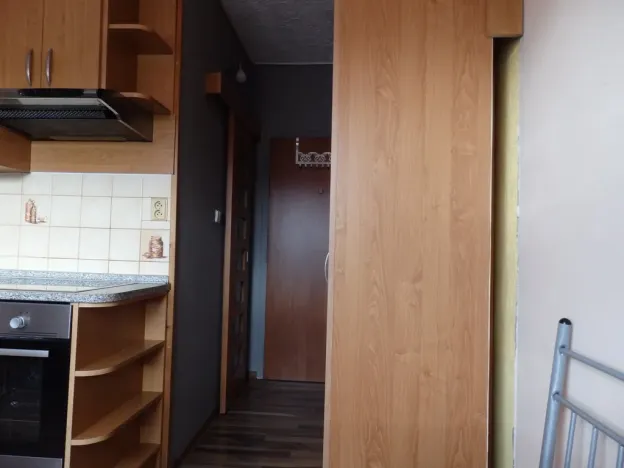 Pronájem bytu 1+1, Břidličná, Nerudova, 37 m2