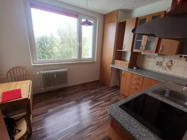 Pronájem bytu 1+1, Břidličná, Nerudova, 37 m2