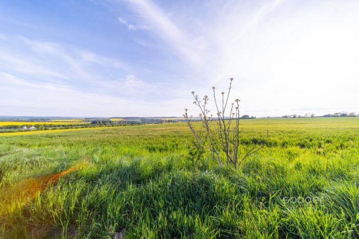 Prodej pozemku pro bydlení, Dobříč, 2813 m2