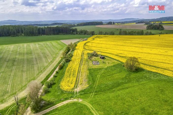 Prodej zemědělské půdy, Ostrov u Bezdružic - Pláň, 6672 m2
