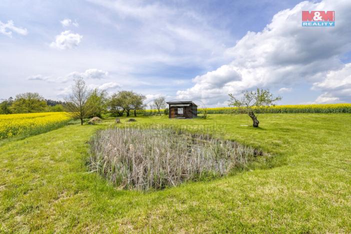 Prodej zemědělské půdy, Ostrov u Bezdružic - Pláň, 6672 m2