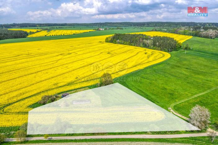 Prodej zemědělské půdy, Ostrov u Bezdružic - Pláň, 6672 m2