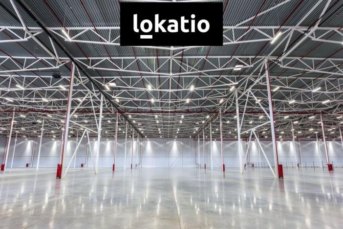 Pronájem skladu, Ostrava, 17. listopadu, 5994 m2