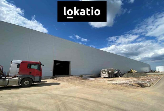 Pronájem skladu, Ostrava, 17. listopadu, 5994 m2