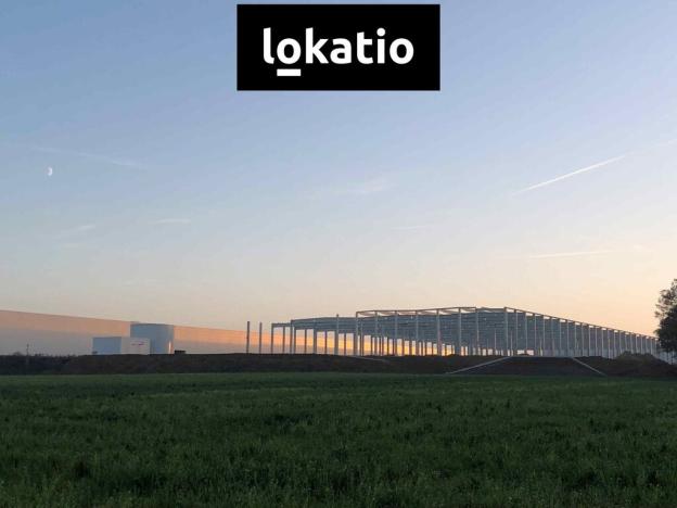 Pronájem skladu, Ostrava, 17. listopadu, 5994 m2