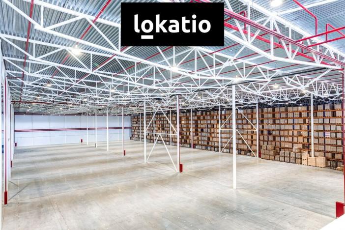 Pronájem skladu, Ostrava, 17. listopadu, 5994 m2