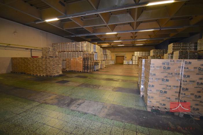 Pronájem komerční nemovitosti, Jindřichův Hradec - Otín, 1850 m2