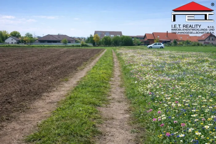 Prodej pozemku pro bydlení, Drásov, 2635 m2