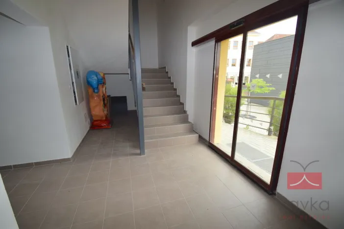 Pronájem komerční nemovitosti, Pacov, nám. Svobody, 442 m2