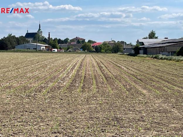 Prodej zemědělské půdy, Dolany, 10206 m2