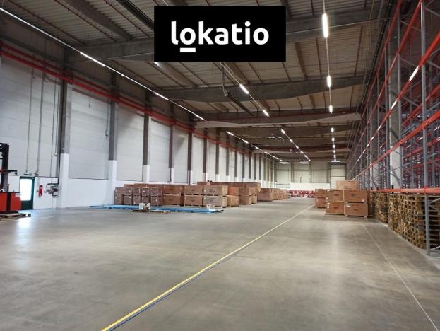 Pronájem skladu, Štěnovice, 5808 m2