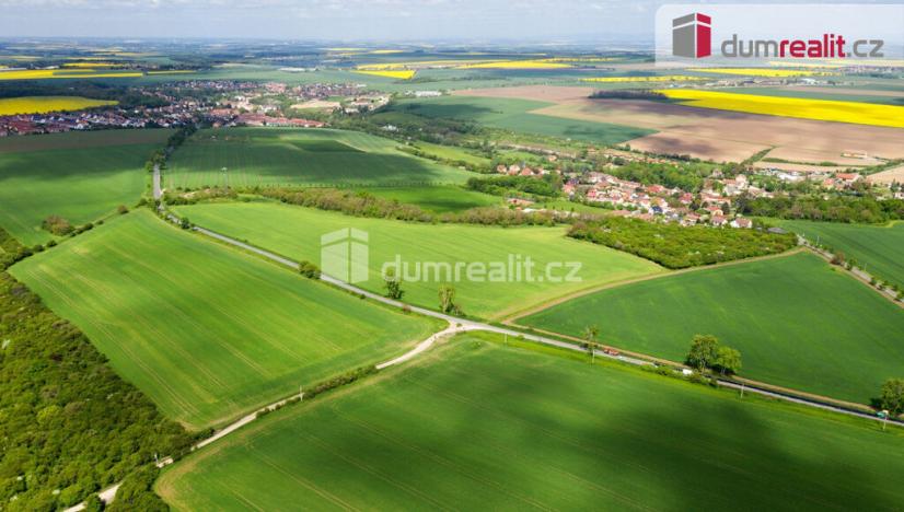 Prodej trvalého travního porostu, Velké Přílepy, 67156 m2