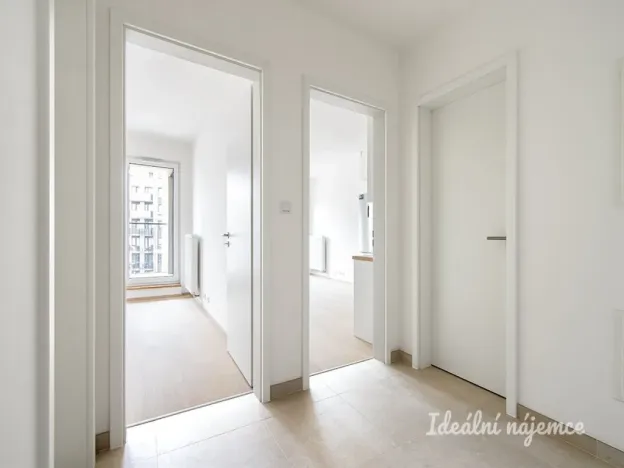 Pronájem bytu 2+kk, Praha - Žižkov, Olgy Havlové, 52 m2