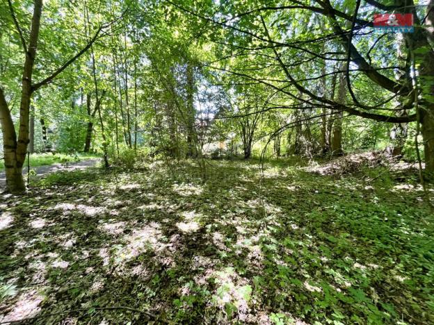 Prodej zahrady, Chřibská, 1281 m2