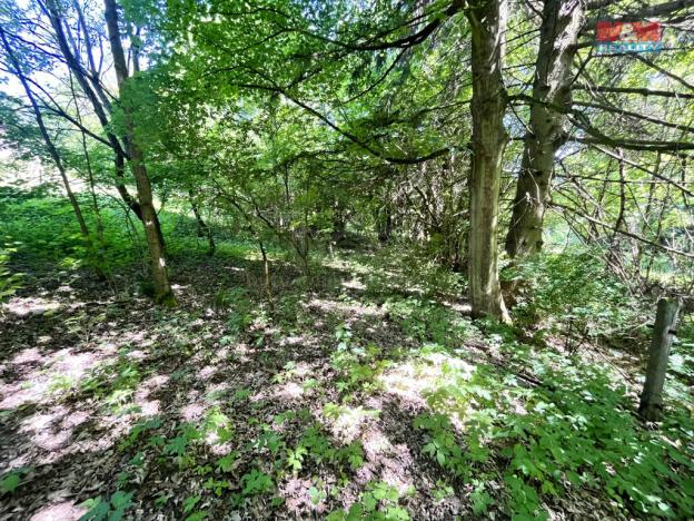 Prodej zahrady, Chřibská, 1281 m2