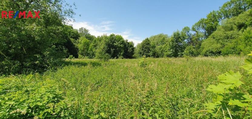 Prodej pozemku pro bydlení, Hukvaldy, 9808 m2