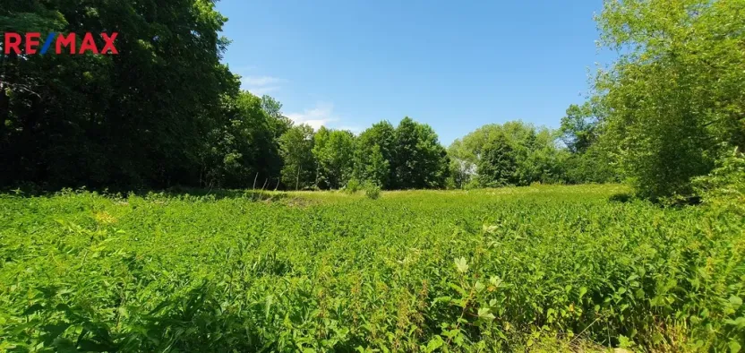 Prodej pozemku pro bydlení, Hukvaldy, 9808 m2