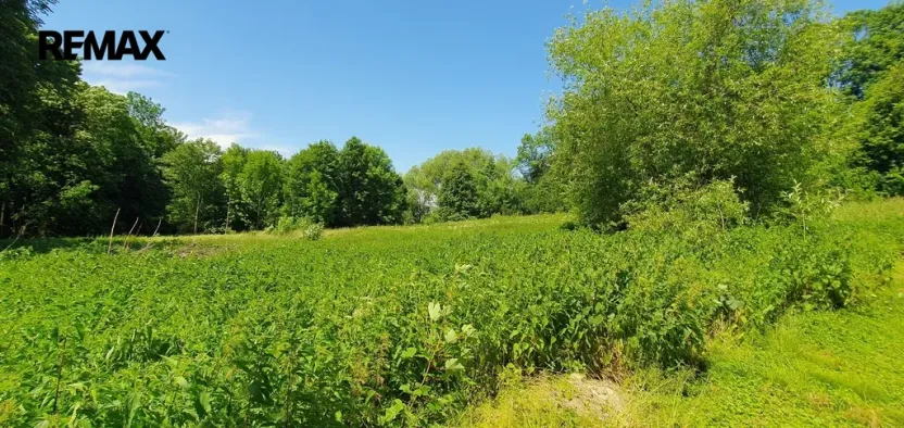 Prodej pozemku pro bydlení, Hukvaldy, 9808 m2