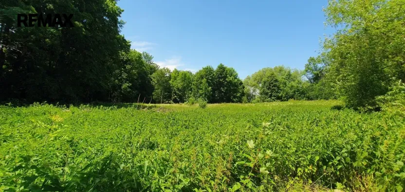 Prodej pozemku pro bydlení, Hukvaldy, 9808 m2