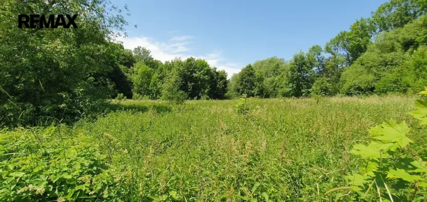 Prodej pozemku pro bydlení, Hukvaldy, 9808 m2