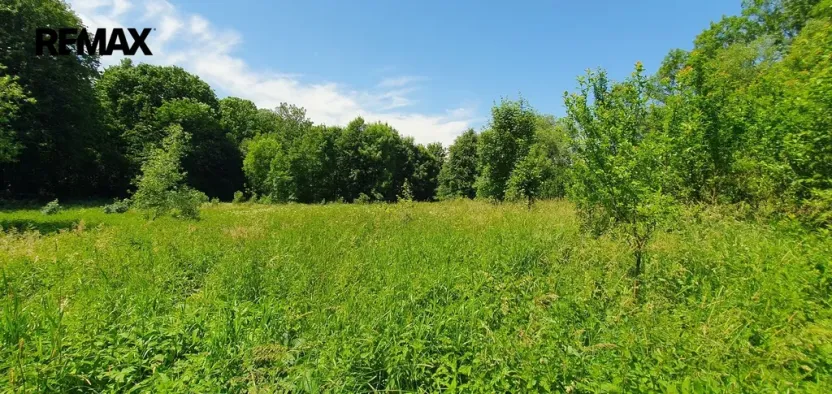 Prodej pozemku pro bydlení, Hukvaldy, 9808 m2