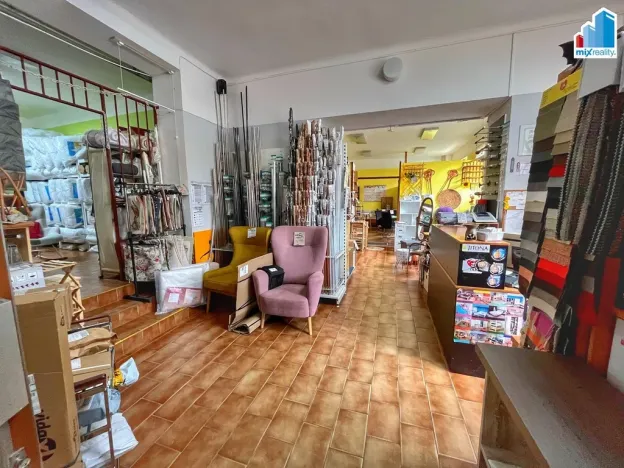 Prodej rodinného domu, Domažlice, Husova třída, 514 m2