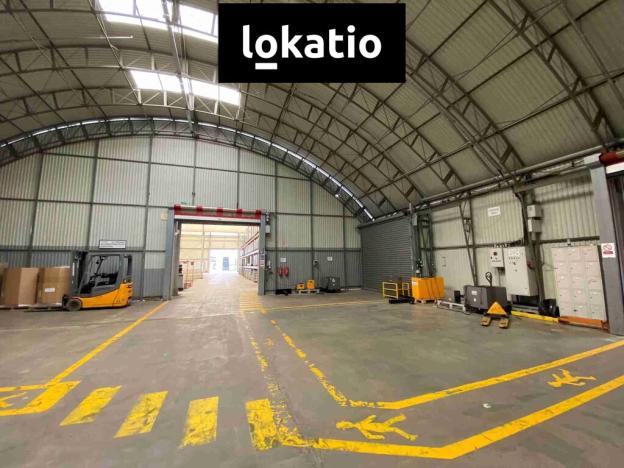 Pronájem skladu, Hodonín, 3600 m2