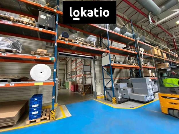 Pronájem skladu, Hodonín, 3600 m2
