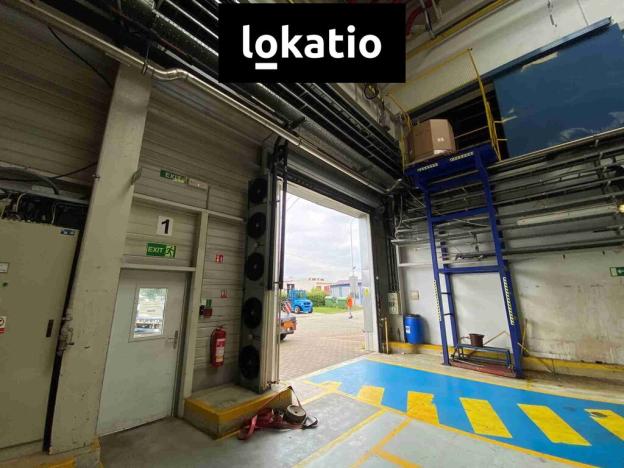 Pronájem skladu, Hodonín, 3600 m2
