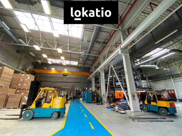 Pronájem výrobních prostor, Hodonín, 7500 m2
