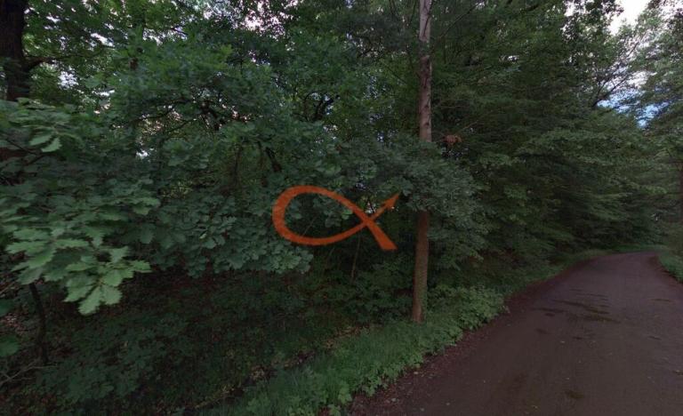 Prodej lesa, Mýto, 9315 m2