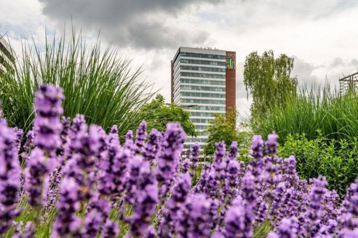 Pronájem kanceláře, Praha - Stodůlky, Bucharova, 280 m2