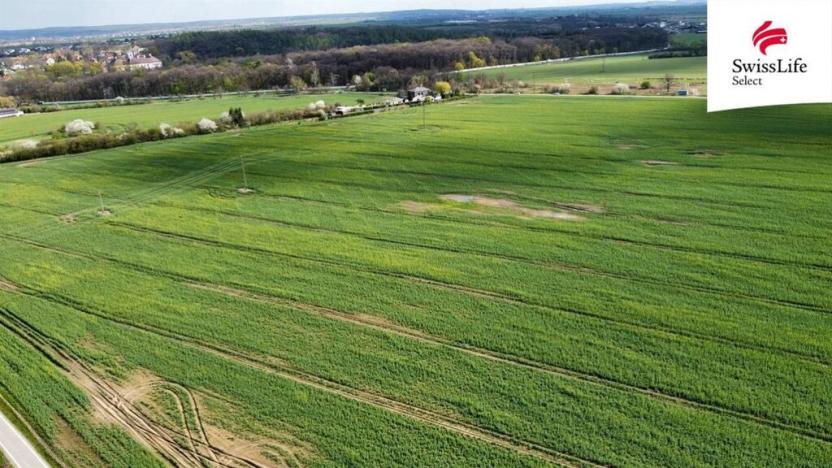 Prodej zemědělské půdy, Praha - Michle, 36799 m2