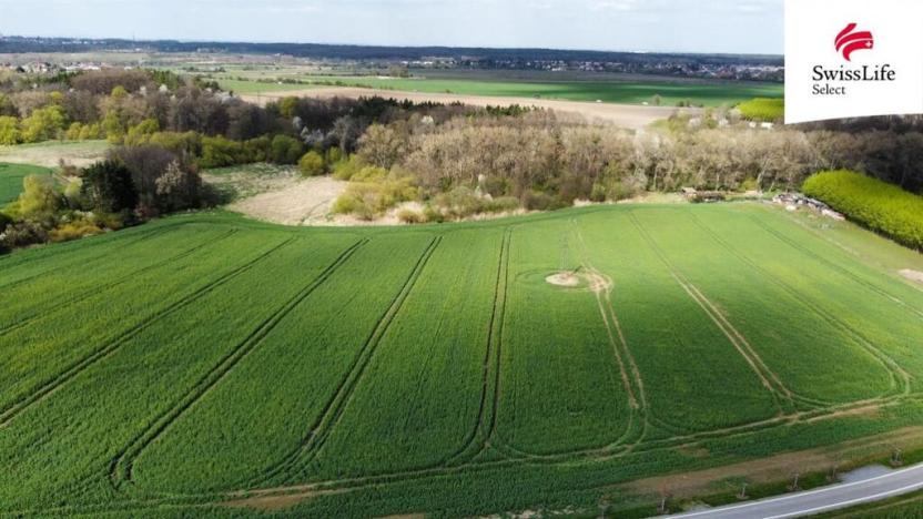 Prodej zemědělské půdy, Praha - Michle, 36799 m2